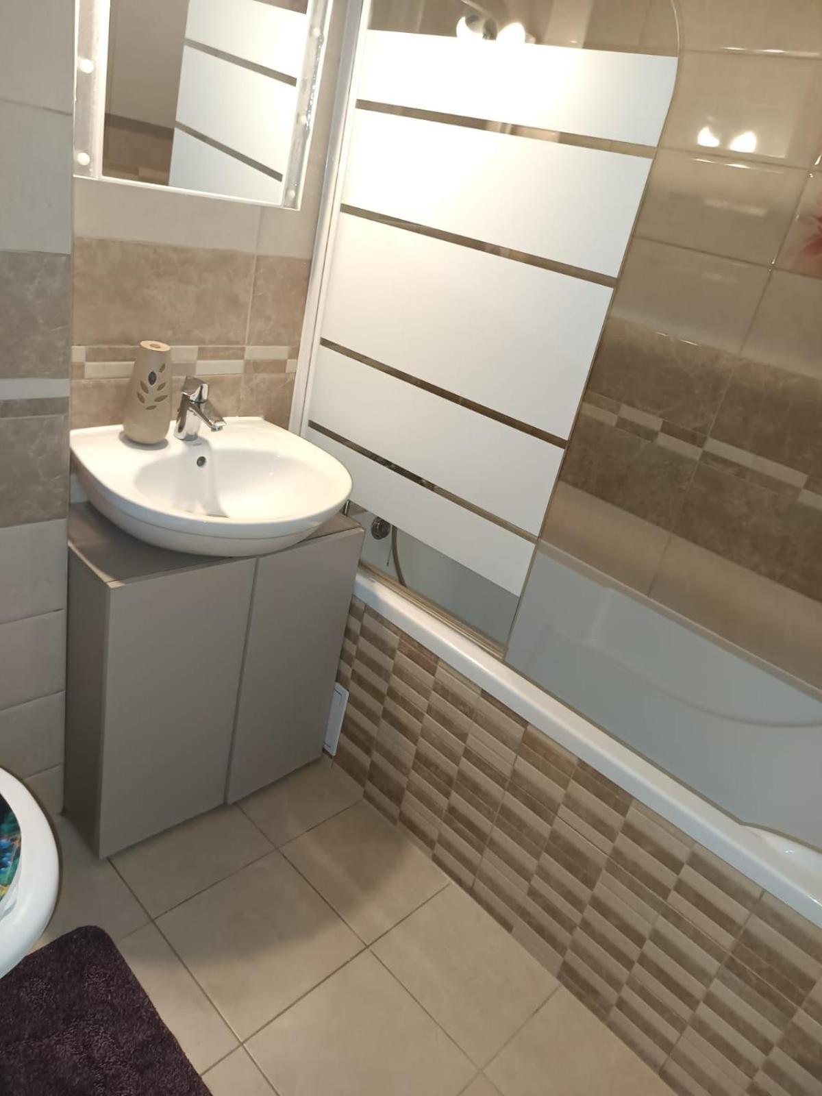 Apartament Regim Hotelier Elis ブラショフ エクステリア 写真
