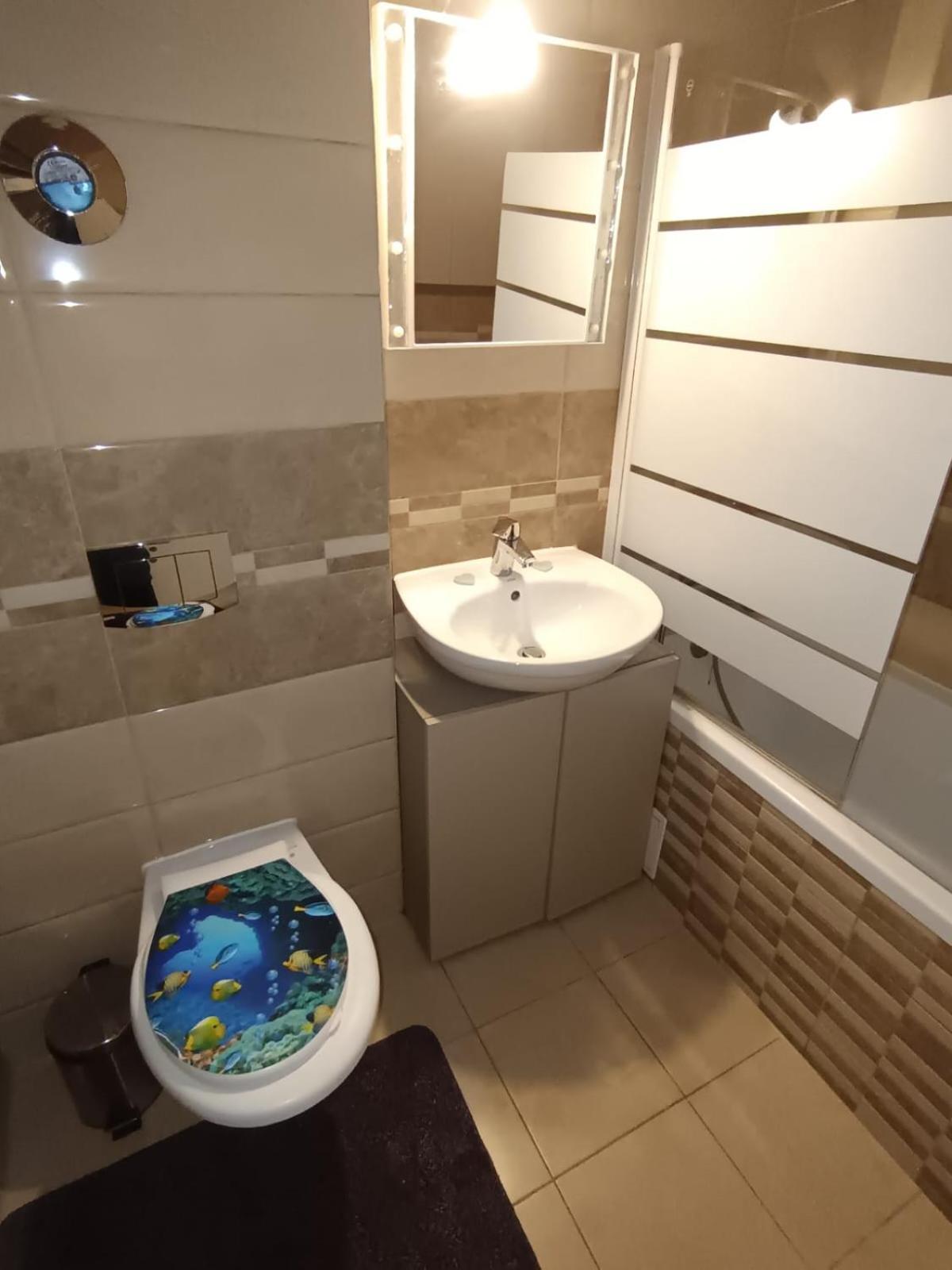 Apartament Regim Hotelier Elis ブラショフ エクステリア 写真